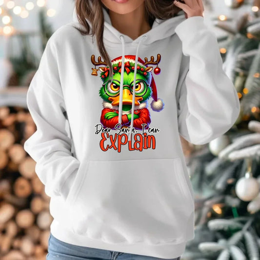 Mogę to wytłumaczyć | Świąteczna bluza damska z kapturem BN77 - StoryCups.pl