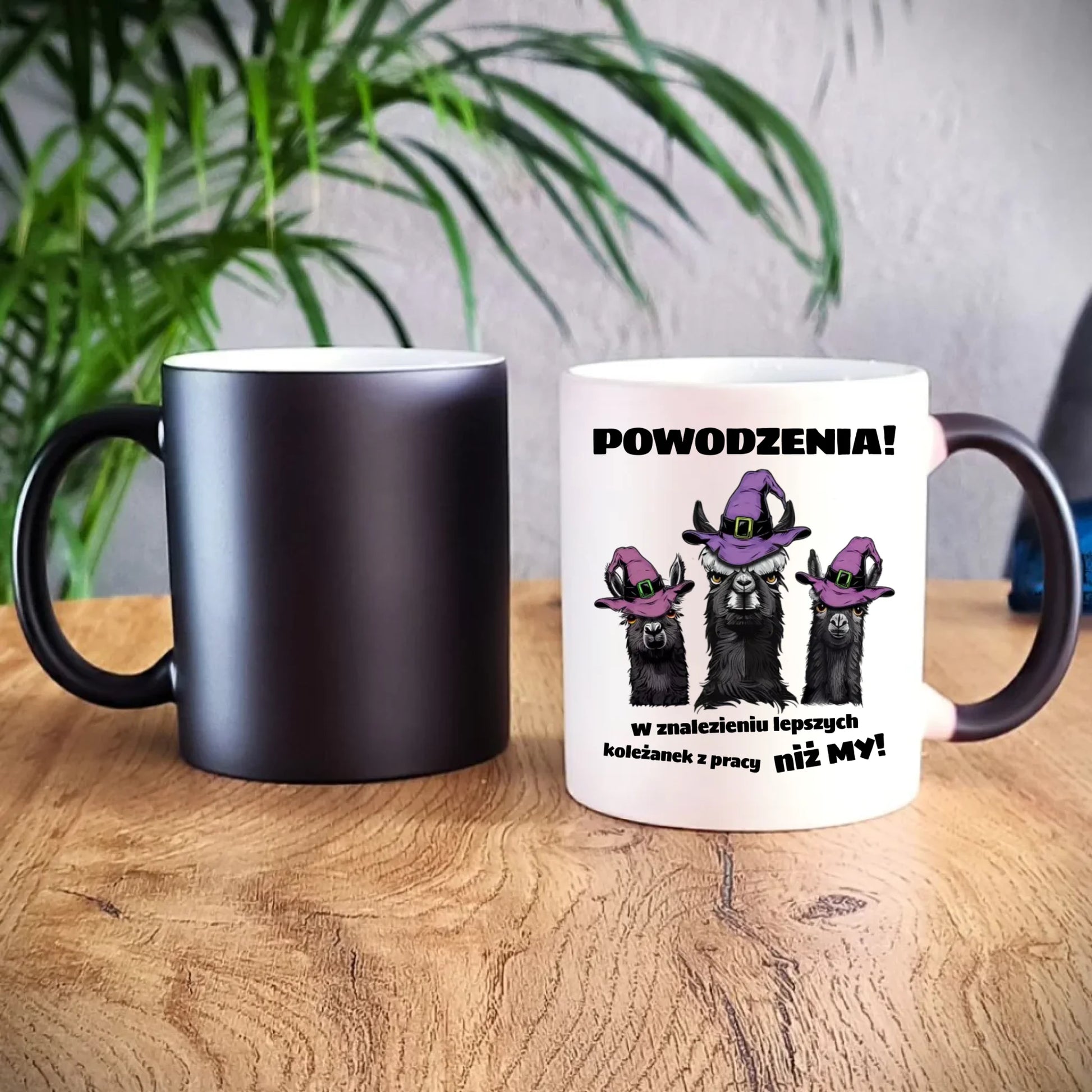 Kubek magiczny na odejście z pracy - Powodzenia w znalezieniu lepszych koleżanek OP07 - StoryCups.pl