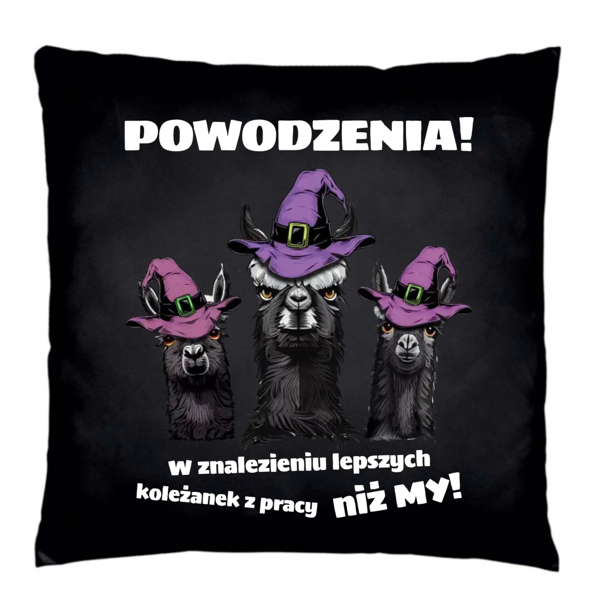 Poduszka dekoracyjna na odejście z pracy - Powodzenia w znalezieniu lepszych koleżanek OP07 - StoryCups.pl