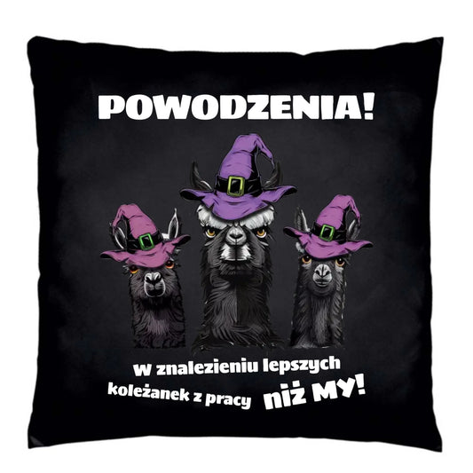 Poduszka dekoracyjna na odejście z pracy - Powodzenia w znalezieniu lepszych koleżanek OP07 - StoryCups.pl