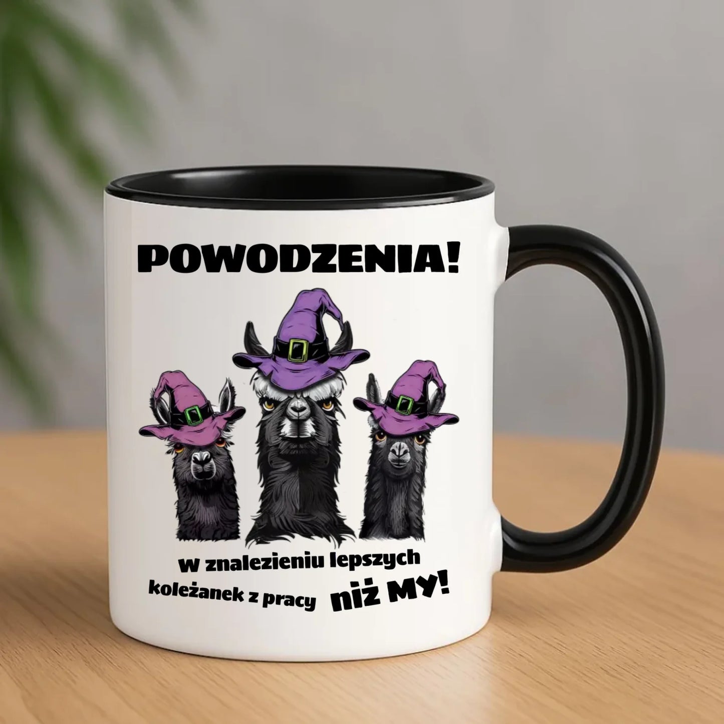 Kubek na odejście z pracy - Powodzenia w znalezieniu lepszych koleżanek OP07 - StoryCups.pl