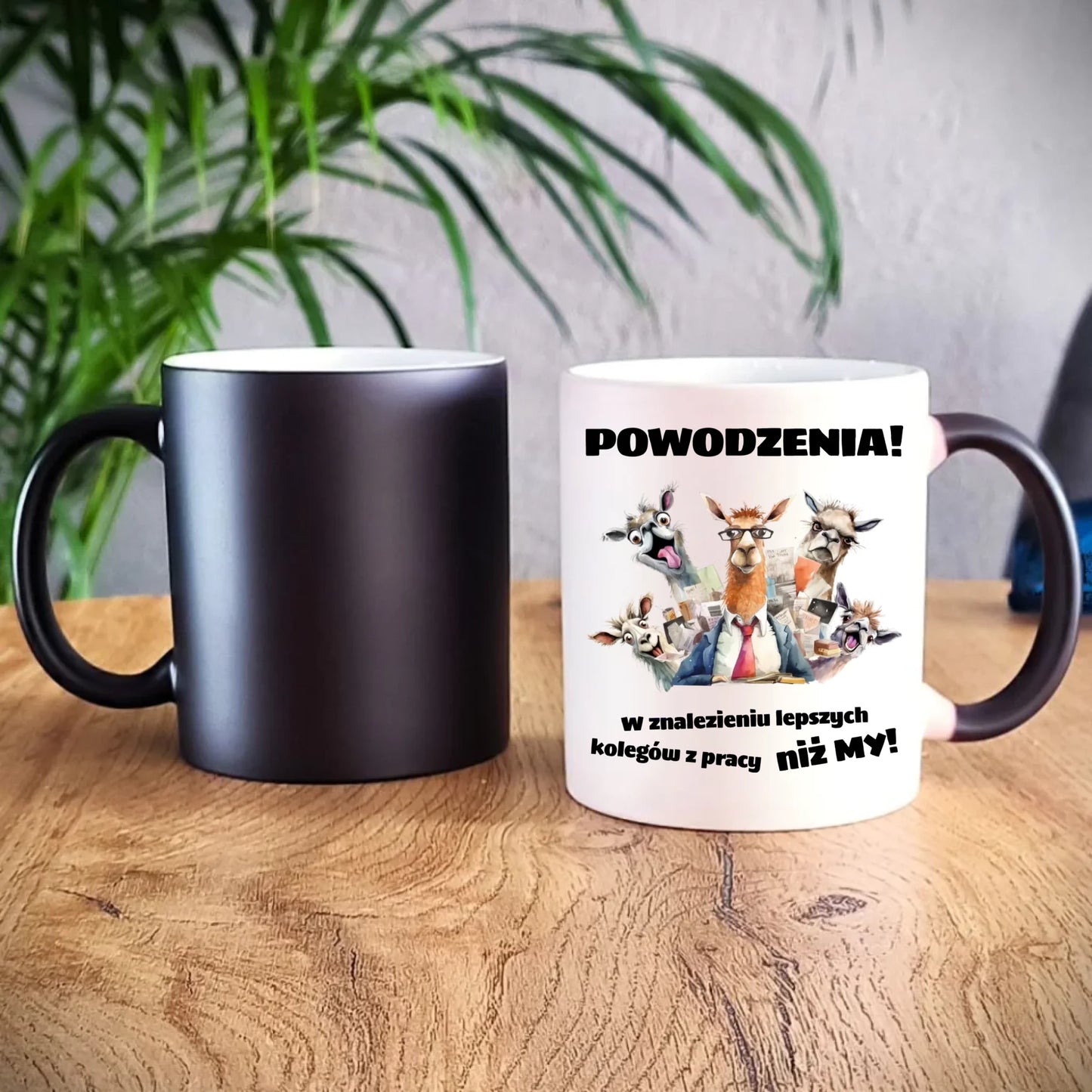 Kubek magiczny na odejście z pracy - Powodzenia w znalezieniu lepszych kolegów OP08 - StoryCups.pl