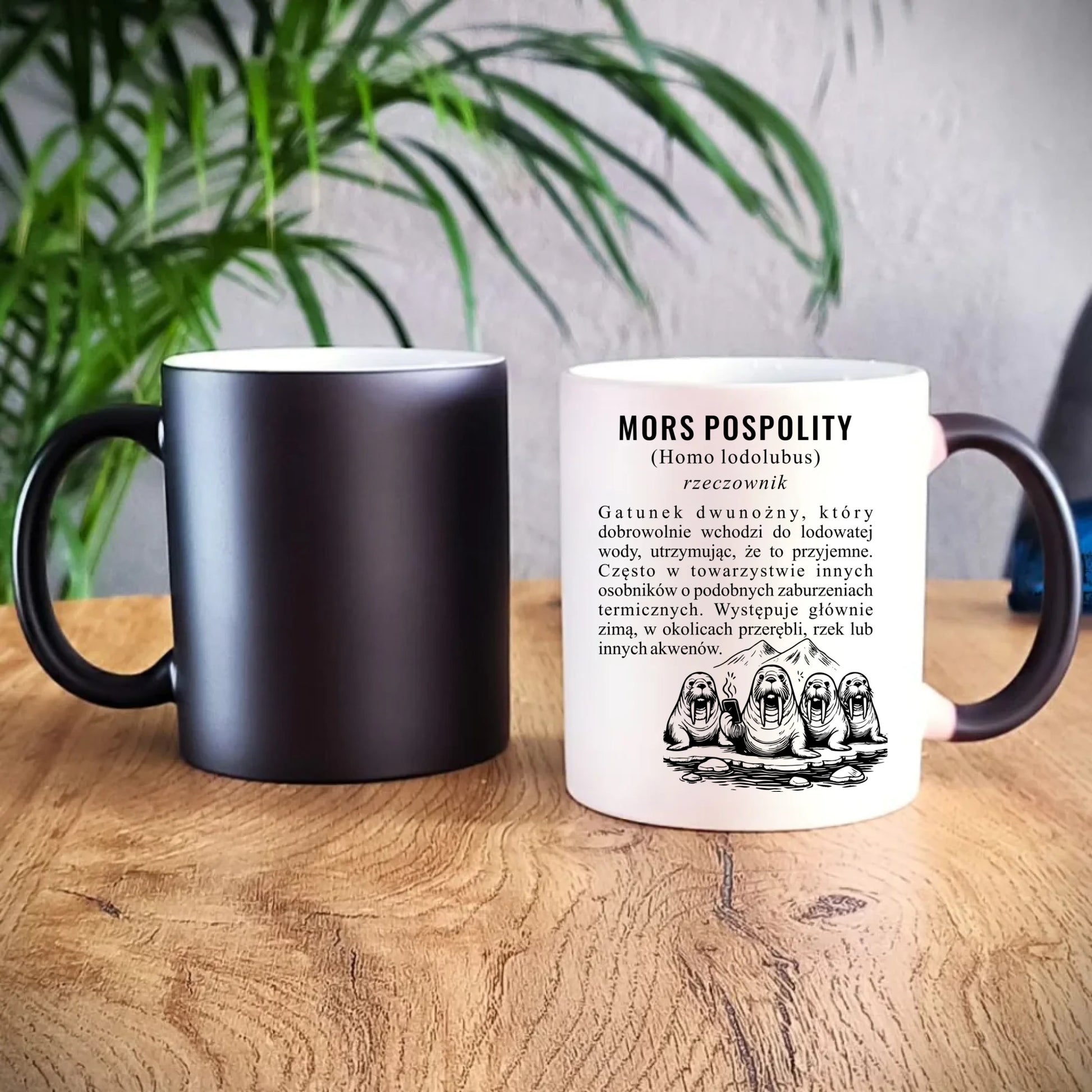 Kubek magiczny - prezent dla morsa - Mors pospolity [Homo lodolubus] HM12 - StoryCups.pl