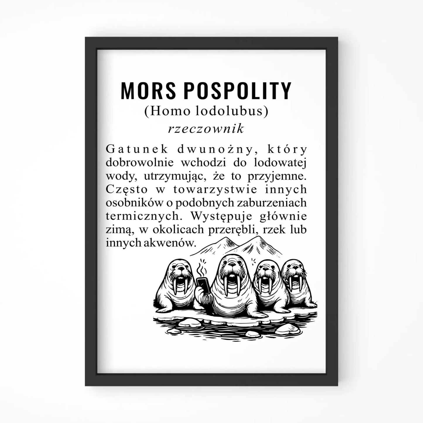 Plakat w ramie - prezent dla morsa - Mors pospolity [Homo lodolubus] HM12 - StoryCups.pl