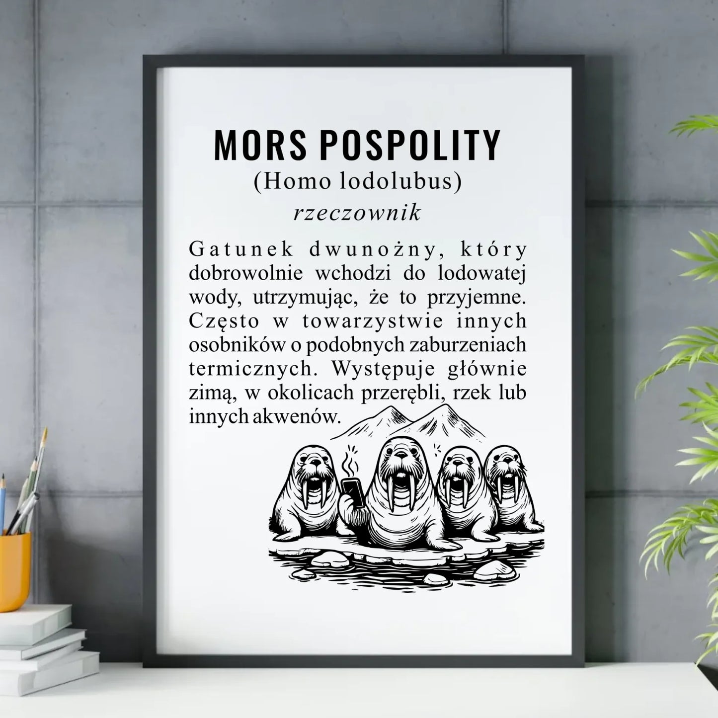 Plakat w ramie - prezent dla morsa - Mors pospolity [Homo lodolubus] HM12 - StoryCups.pl