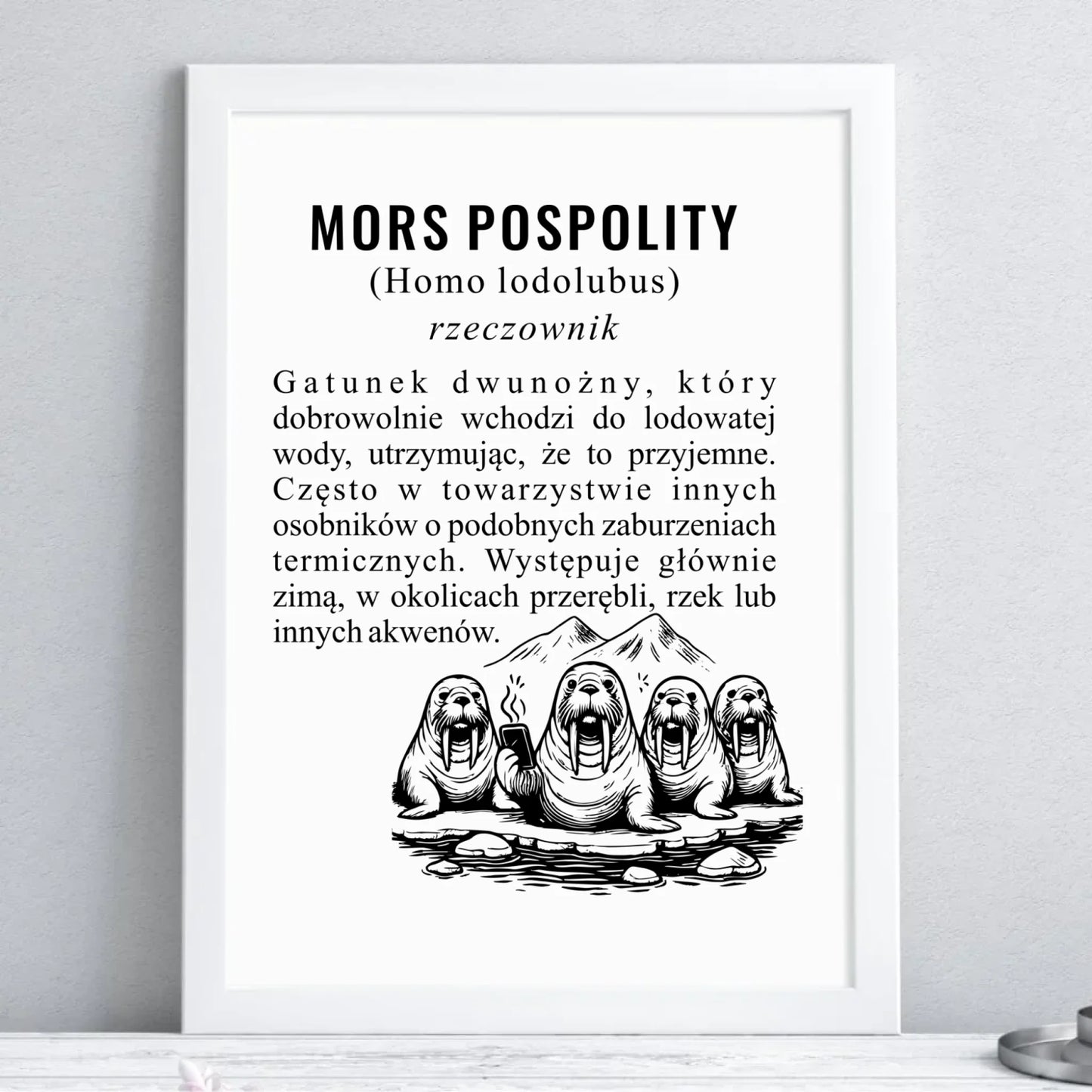 Plakat w ramie - prezent dla morsa - Mors pospolity [Homo lodolubus] HM12 - StoryCups.pl