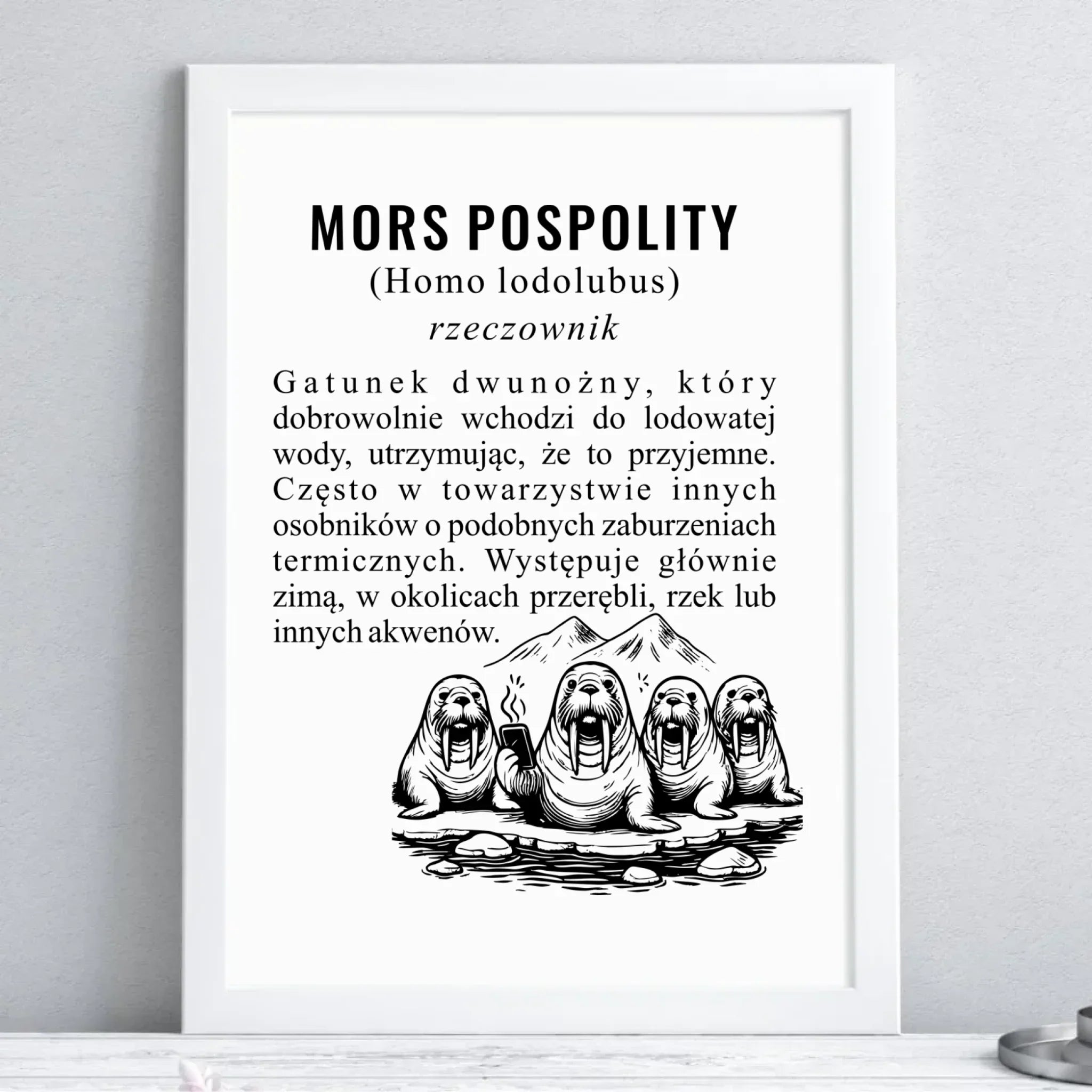 Plakat w ramie - prezent dla morsa - Mors pospolity [Homo lodolubus] HM12 - StoryCups.pl
