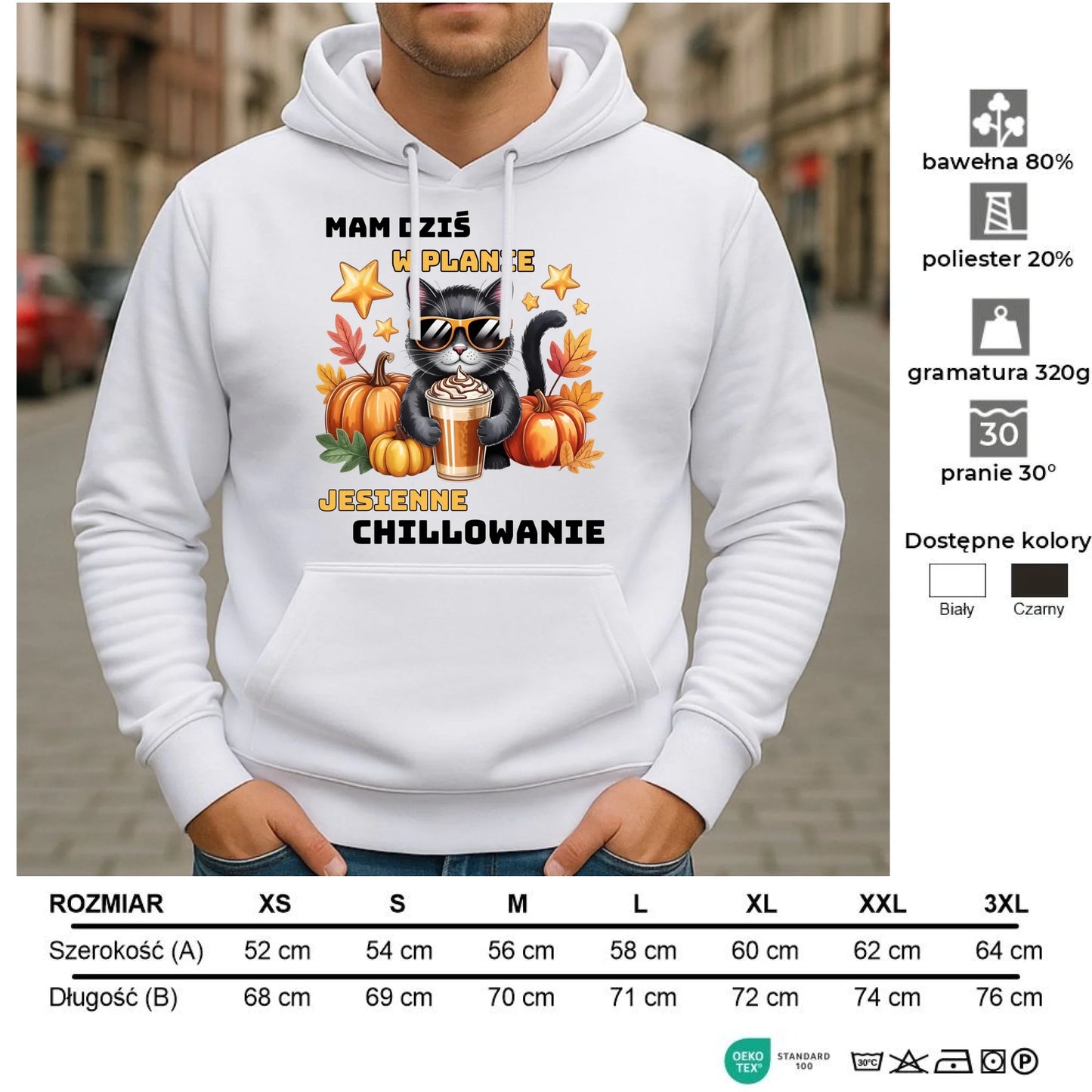 Bluza męska z kapturem jesienna - Mam dziś w planie jesienne chillowanie JS34