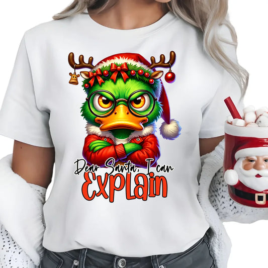Mogę to wytłumaczyć | Świąteczna koszulka damska BN77 - StoryCups.pl
