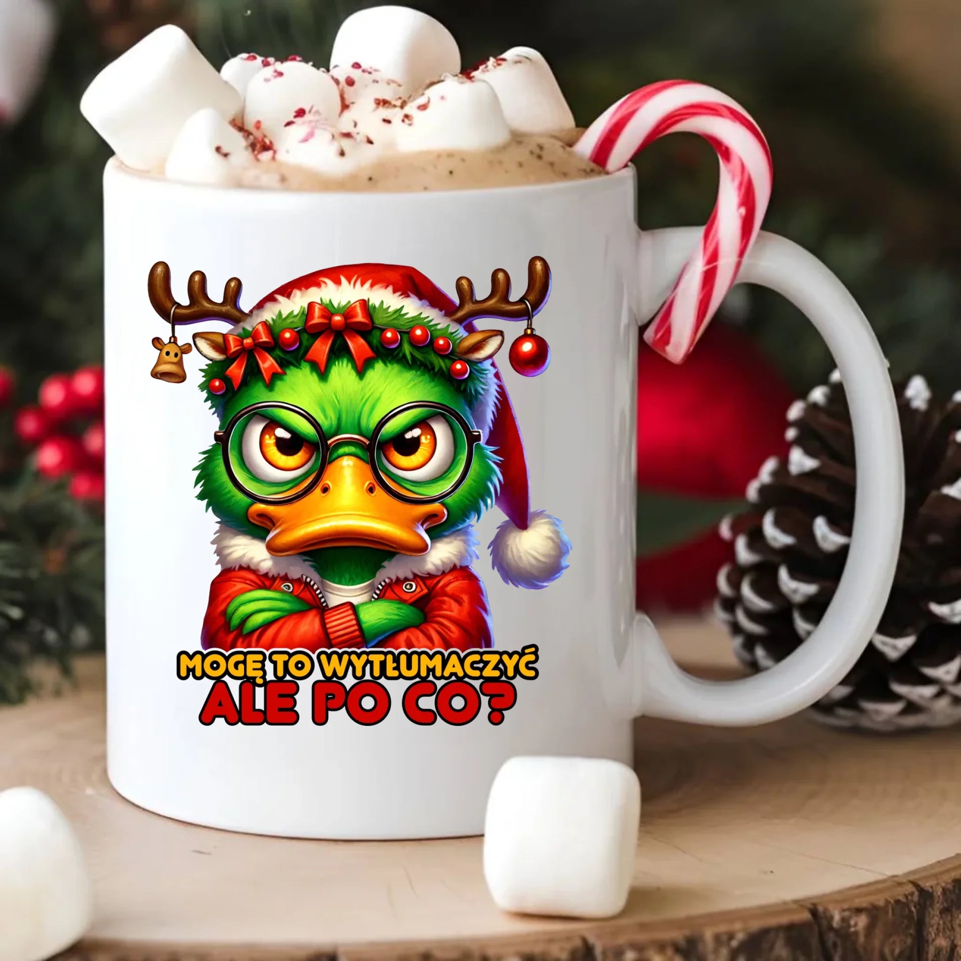 Kubek świąteczny - Mogę to wytłumaczyć Ale po co? BN77 - StoryCups.pl