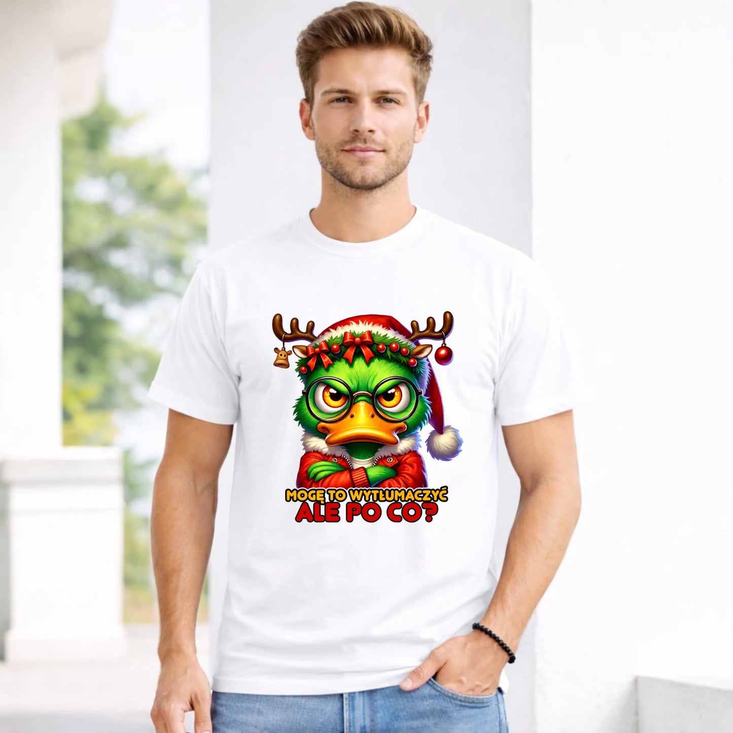 Koszulka męska świąteczna - Mogę to wytłumaczyć Ale po co? BN77