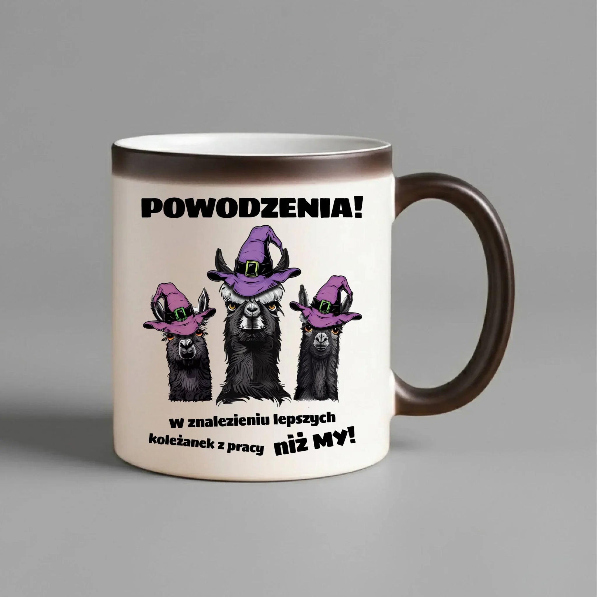 Kubek magiczny na odejście z pracy - Powodzenia w znalezieniu lepszych koleżanek OP07 - StoryCups.pl