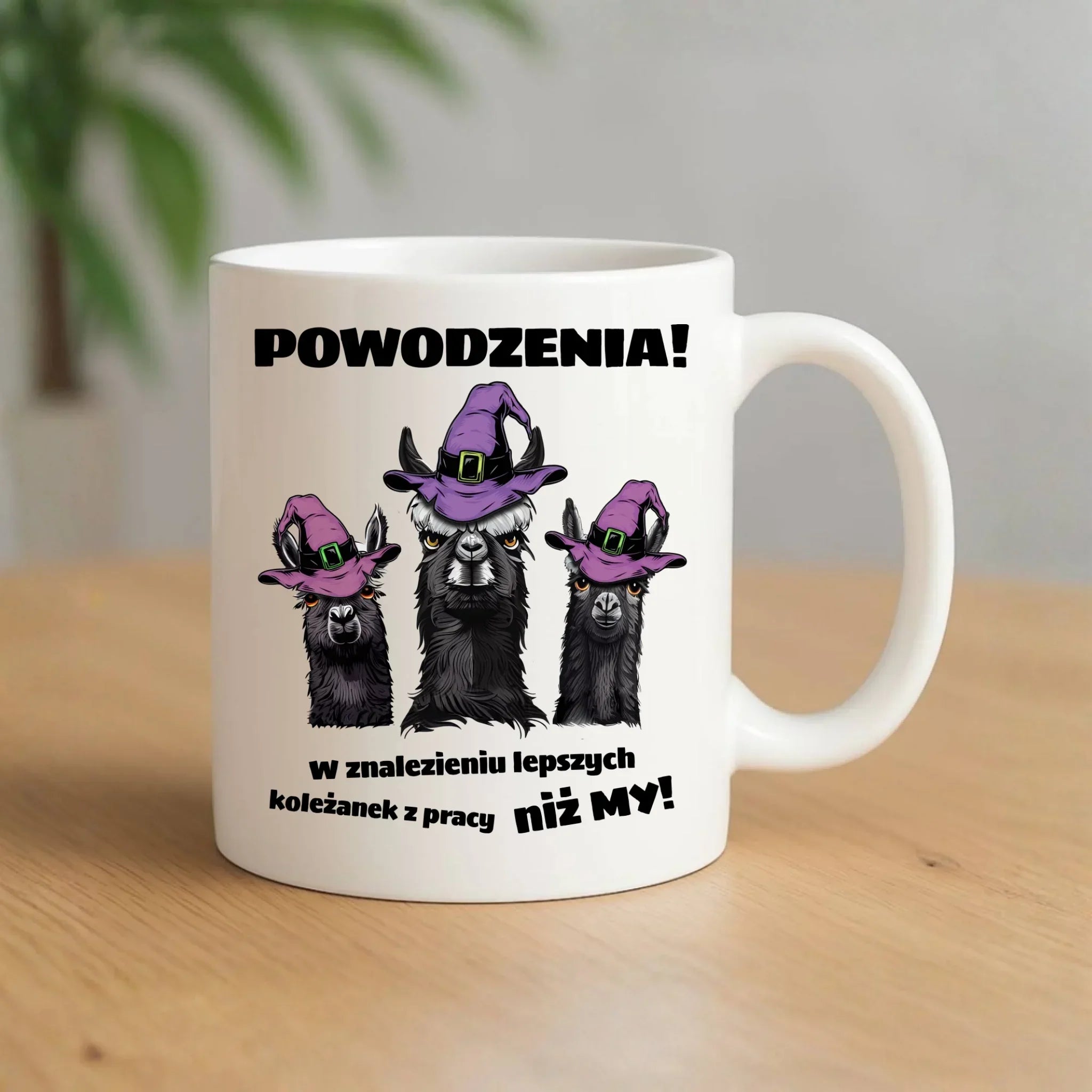 Kubek na odejście z pracy - Powodzenia w znalezieniu lepszych koleżanek OP07 - StoryCups.pl