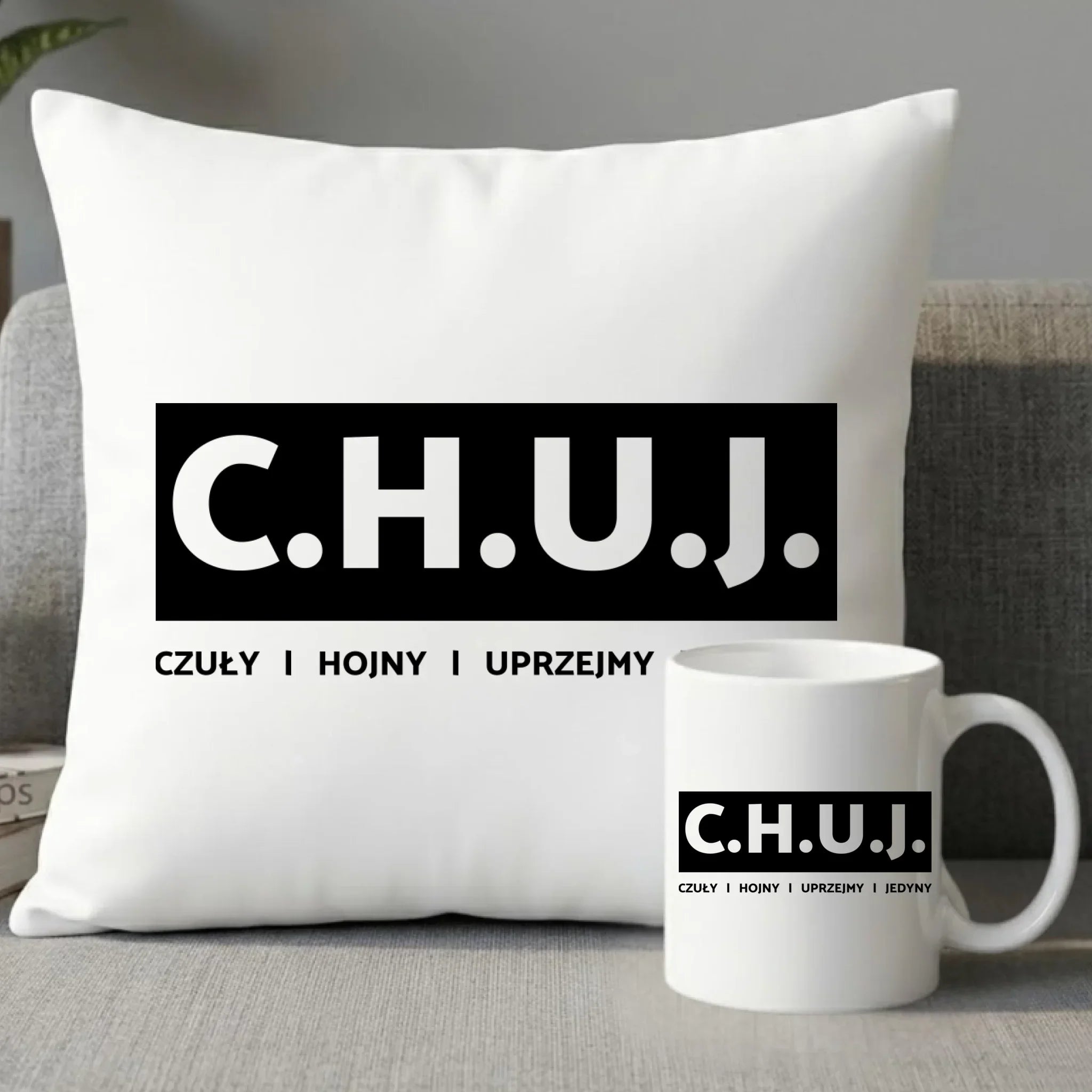 Zestaw poduszka i kubek - prezent dla kolegi na Dzień Chłopaka przyjaciela - C.H.U.J. - bez cenzury DCH12 - StoryCups.pl