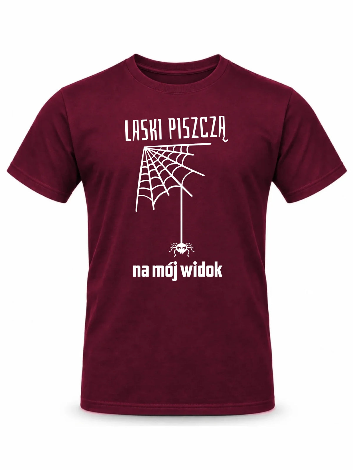 Koszulka męska - prezent dla chłopaka - Laski piszczą na mój widok DCH13